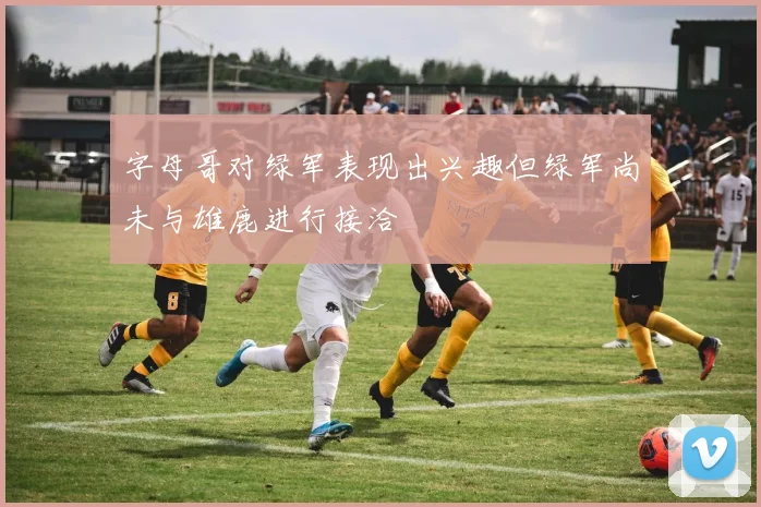 字母哥对绿军表现出兴趣但绿军尚未与雄鹿进行接洽